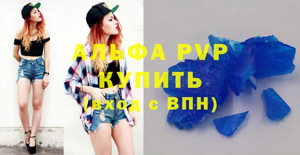 индика Нягань