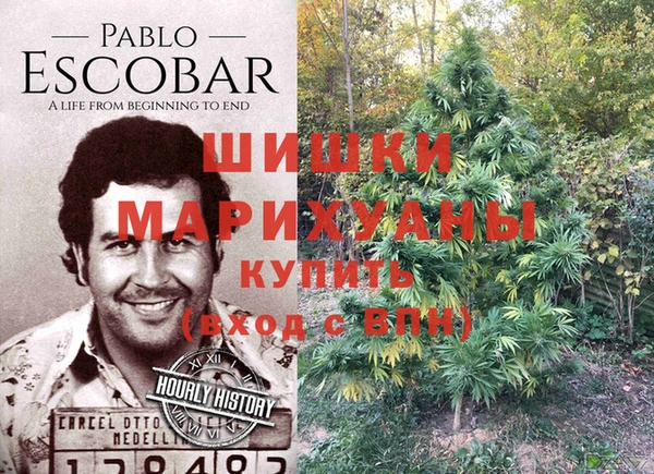 каннабис Новодвинск