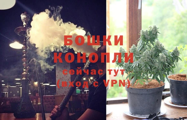 индика Нягань