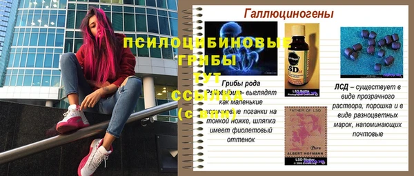 бутират Няндома