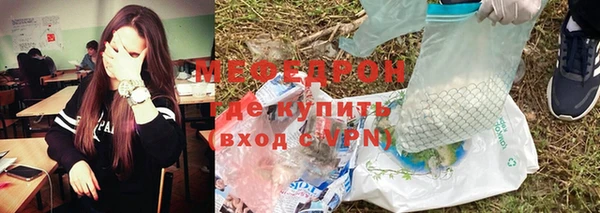 индика Нягань