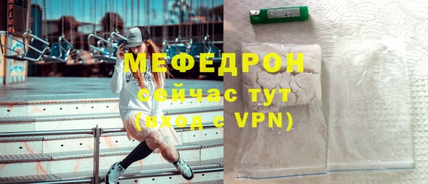 индика Нягань