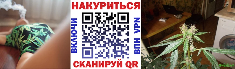 закладки  Бодайбо  Бошки Шишки сатива 